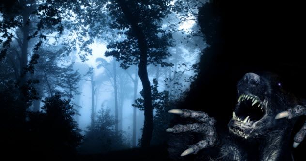 5-demons-forest_000059195754_Small