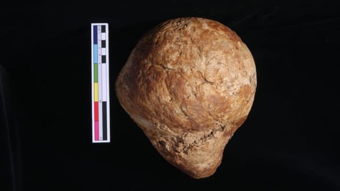 Image provided by G. Cole, C. Rando, L. Sibun, and T. Waldron; UCL Institute of Archaeology
