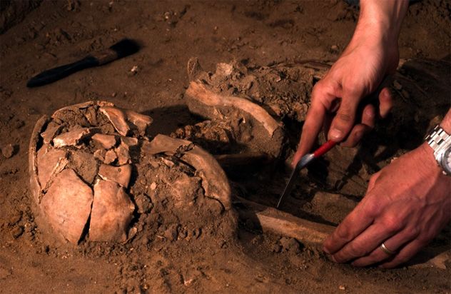 5- human remains