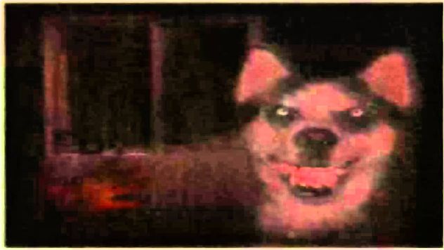 9- Dog