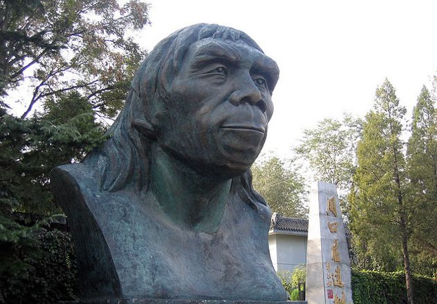 peking_man
