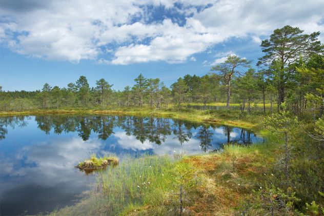 5- blue hole