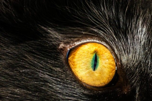 183593895