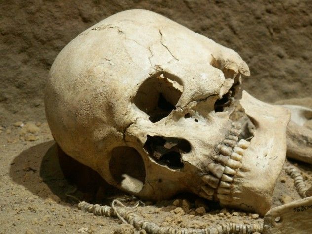 skull