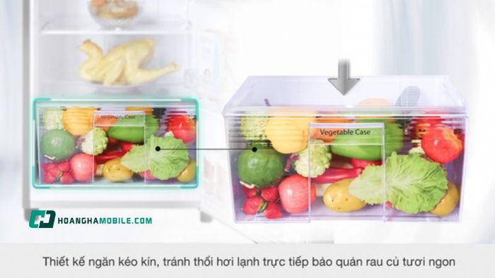 tu-lanh-panasonic-inverter