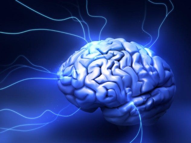 BRAIN