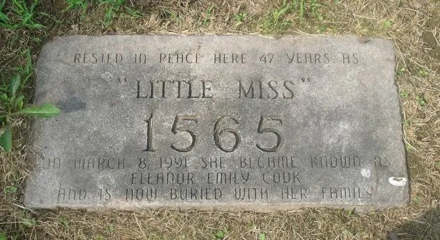 littlemiss1565