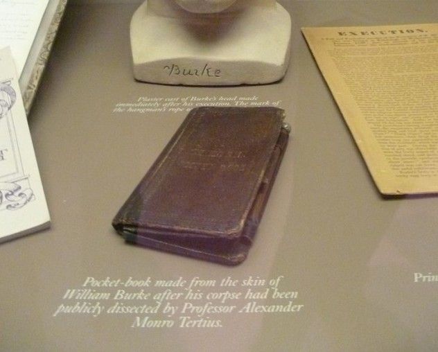 book of flesh