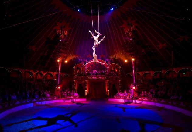 Exhibition body control balancing balance skill dexterity skilful dexterous courage braveness pluck courageous plucky feat feats light lighting illumination illuminated art light art looking watching keeping watch on spectator spectators tension acrobat