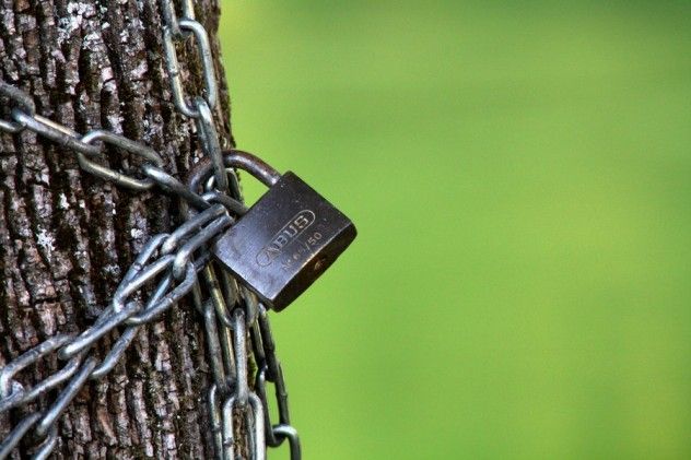chained_tree_by_picture_bandit-d4b6xuo