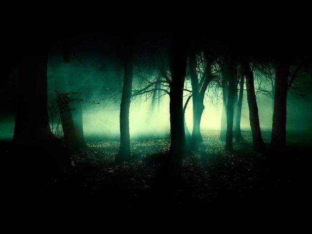 woodsnight