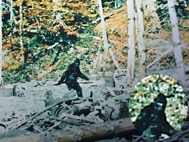 bigfoot