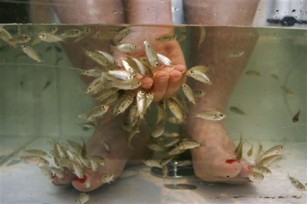 Ifwt Fish-Pedi