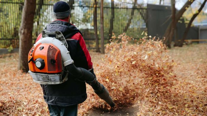 Four Green Alternatives to Gas-Powered Leaf Blowers (Beyond Using a Rake)