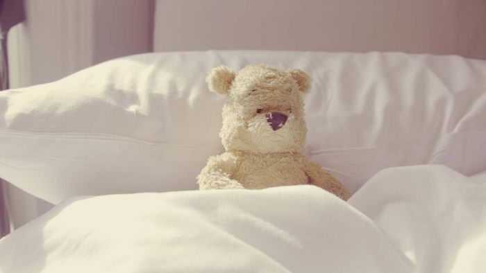 What’s the Ideal Cleaning Schedule for Pillows, Cushions, and Comforters?