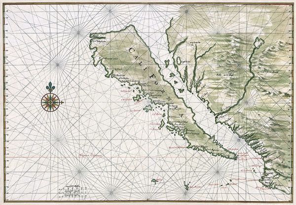 California Island Vinckeboons5