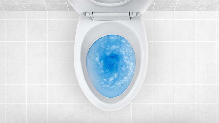 Stop Listening to TikTok: Keep Cleaning Liquids Out of Your Toilet Tank
