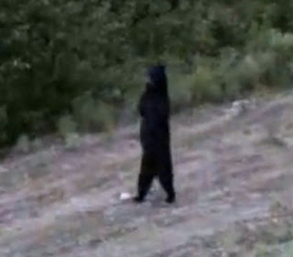 Bear Bigfoot