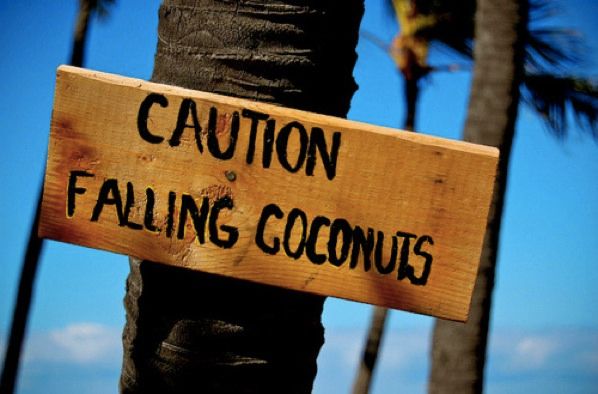 Caution-Falling-Coconuts