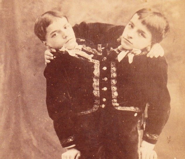 Tocci_Brothers crop
