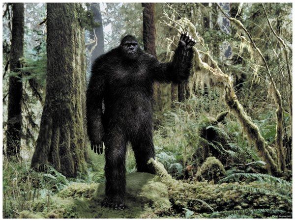 So Cal Bigfoot