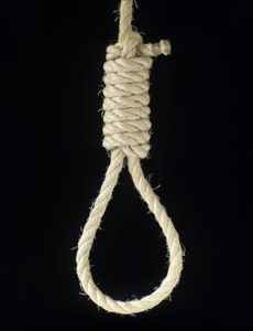 759933-Noose Lg 716525 Large