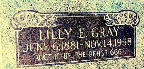 Lilly-Gray