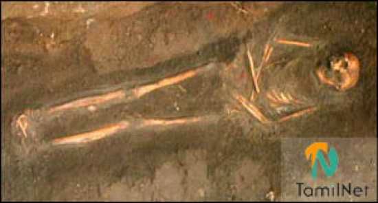 Stadiumgrave Skeleton
