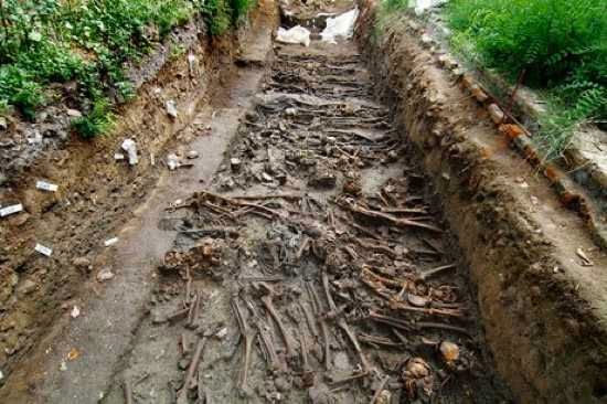 Plague-Grave2-709728