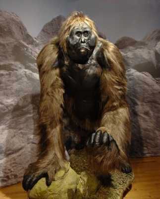 Gigantopithecus-Blackii
