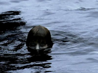 dead-in-the-water