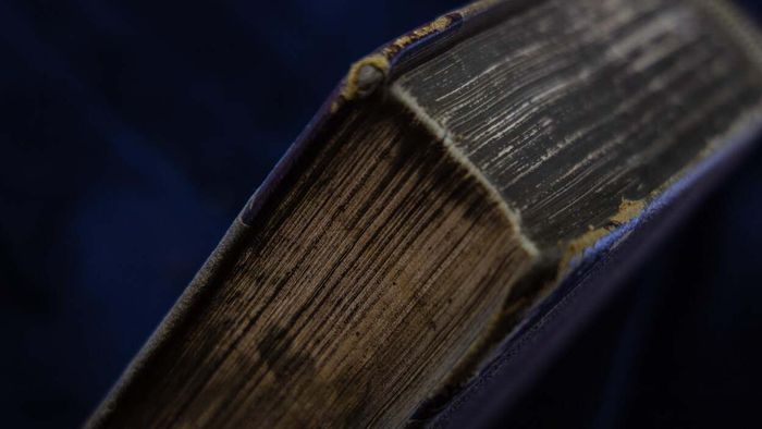 Strategies for Removing Mold from Books and Ensuring It Doesn’t Recur