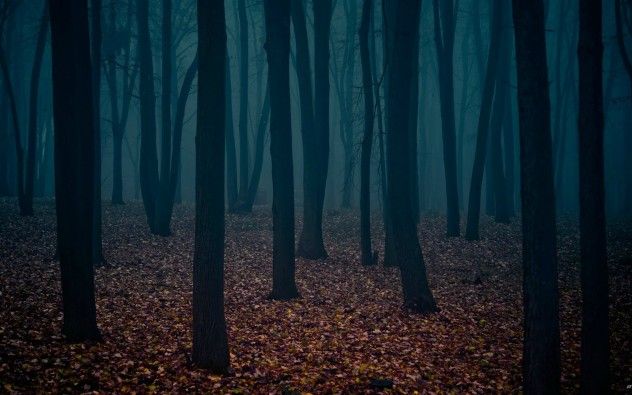 woodsy