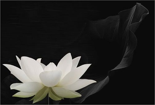 Phat day ve hoc chu Nhan va tu tam o doi hinh anh