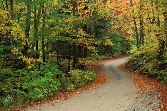 countryroad