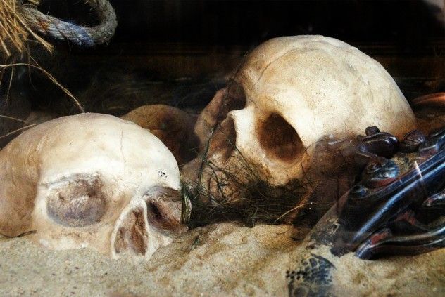 Body Farm