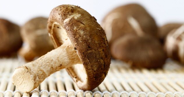 6-shiitake-mushroom-470797644