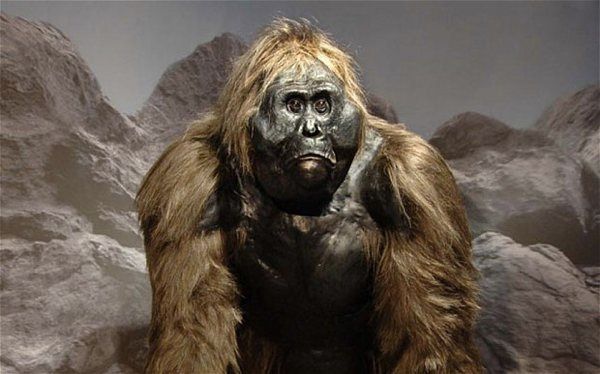 Wildman 2265058B
