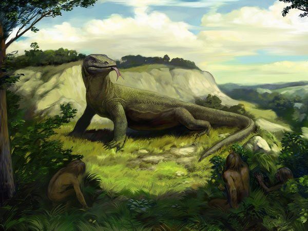 Megalania 600