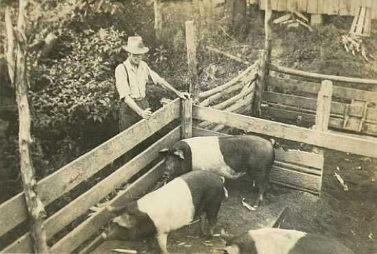 1Pigpen