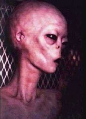 Alien-3