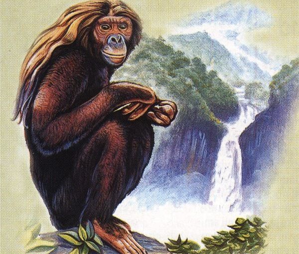Orang Pendek-Sumatra-Indonesia