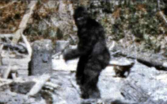 Bigfootaa