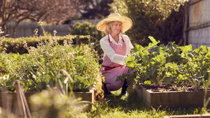 Essential Gardening Tools for Individuals Experiencing Back Pain