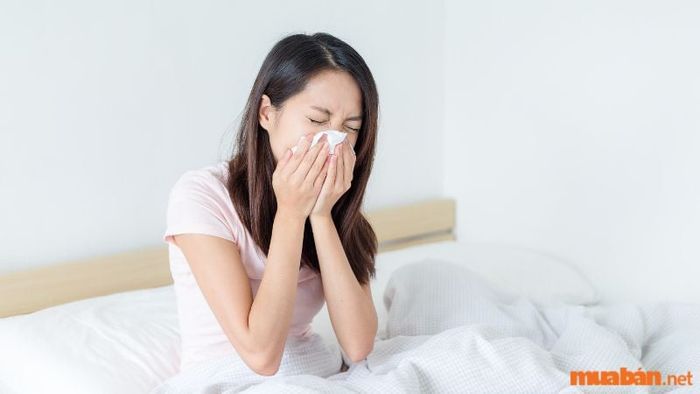 Nhảy mũi có thể là dấu hiệu liên quan đến các điềm báo về sức khỏe