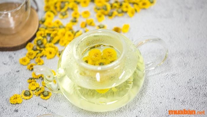 Uống trà hoa cúc giúp giảm tần suất hắt xì