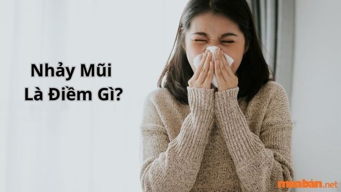 Nhảy mũi (hắt xì hơi) báo hiệu điều gì?
