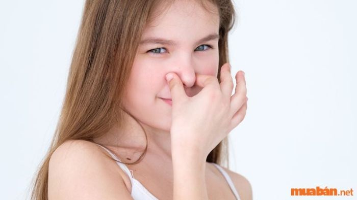Bịt mũi để ngừng cơn hắt xì ngay lập tức