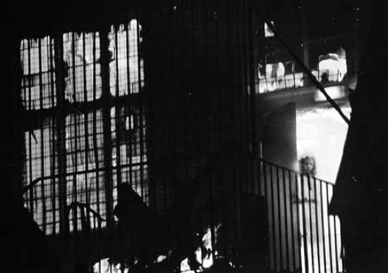 Wem Town Hall Ghost 001-1