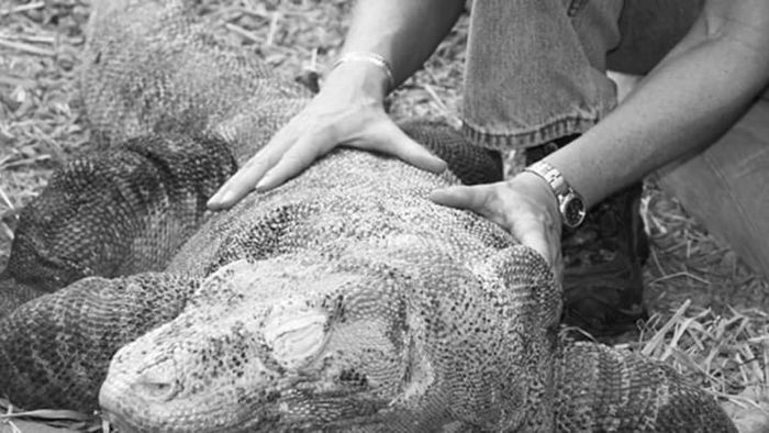 Wolfe et al., Journal of Zoo and Wildlife Medicine